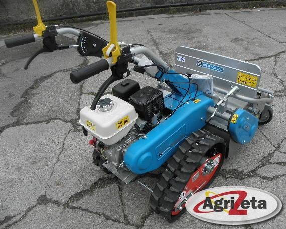 Z19 P25 su trinciasarmenti BTS 65